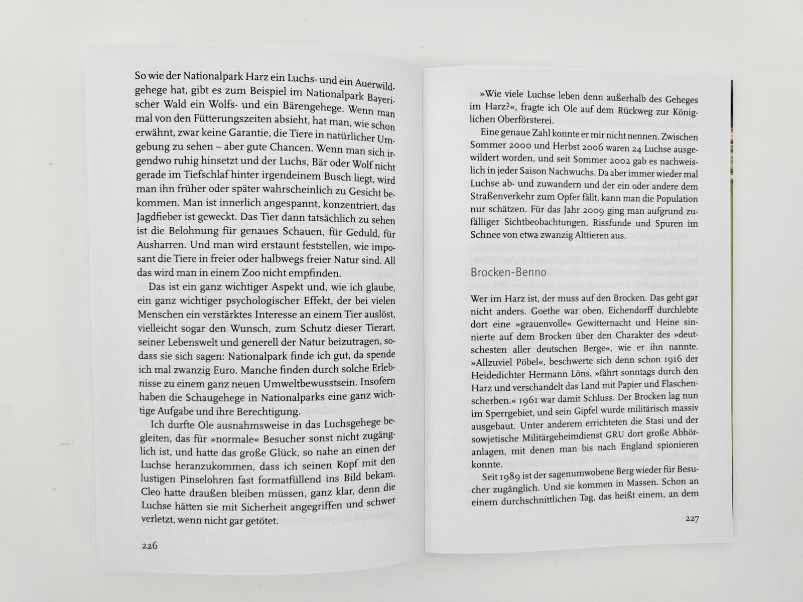 Beispielinhalt (Bild) Ein deutscher Wandersommer