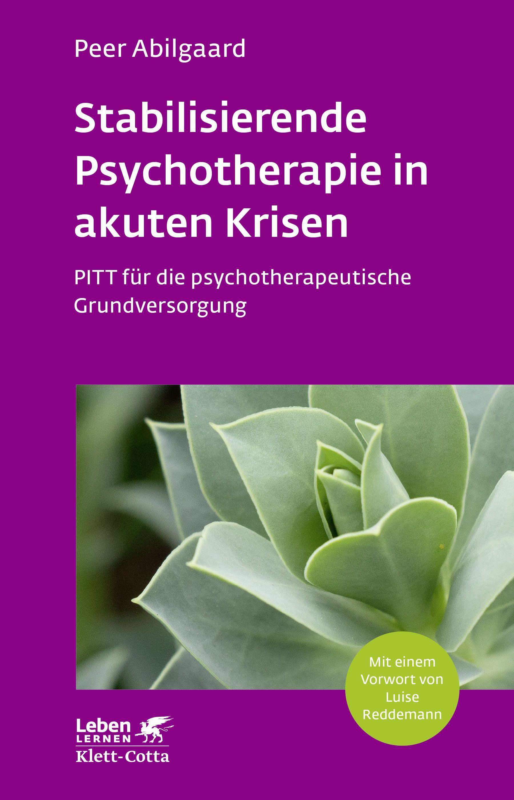 Vorderes Coverbild Stabilisierende Psychotherapie in akuten Krisen (Leben Lernen, Bd. 254)