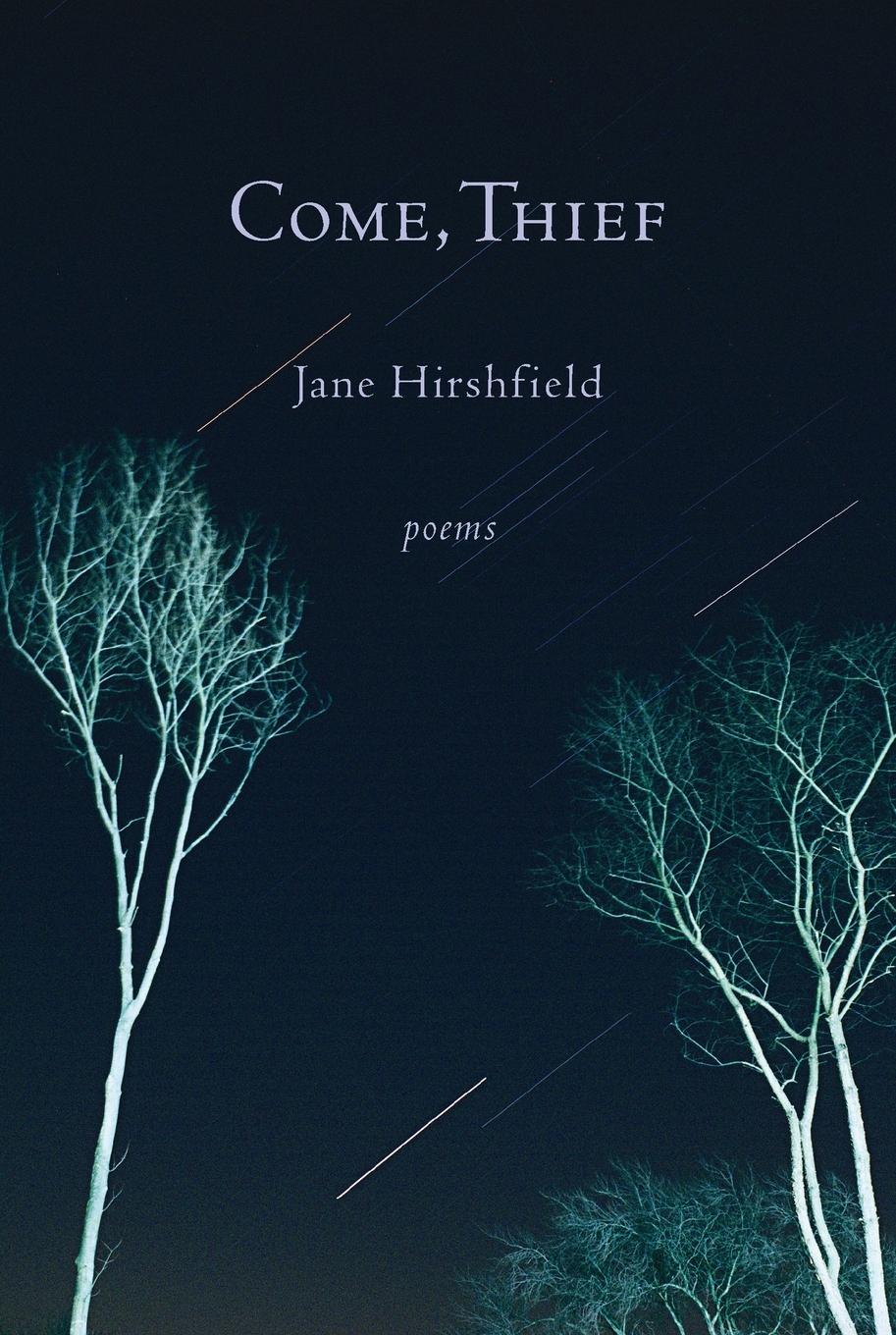 Vorderes Coverbild Come, Thief