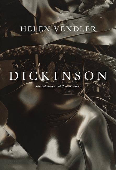 Vorderes Coverbild Dickinson