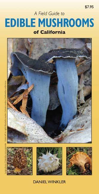 Vorderes Coverbild A Field Guide to Edible Mushrooms of California