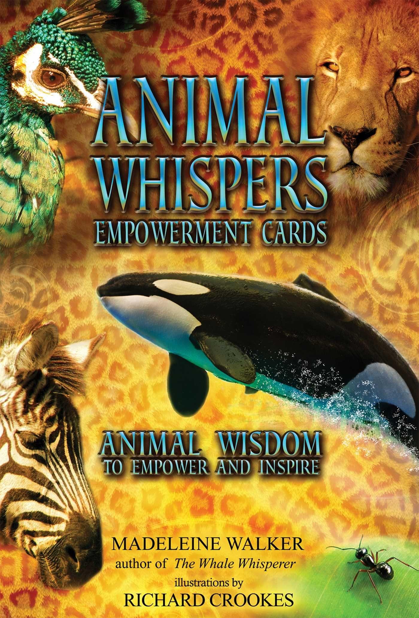 Vorderes Coverbild Animal Whispers Empowerment Cards