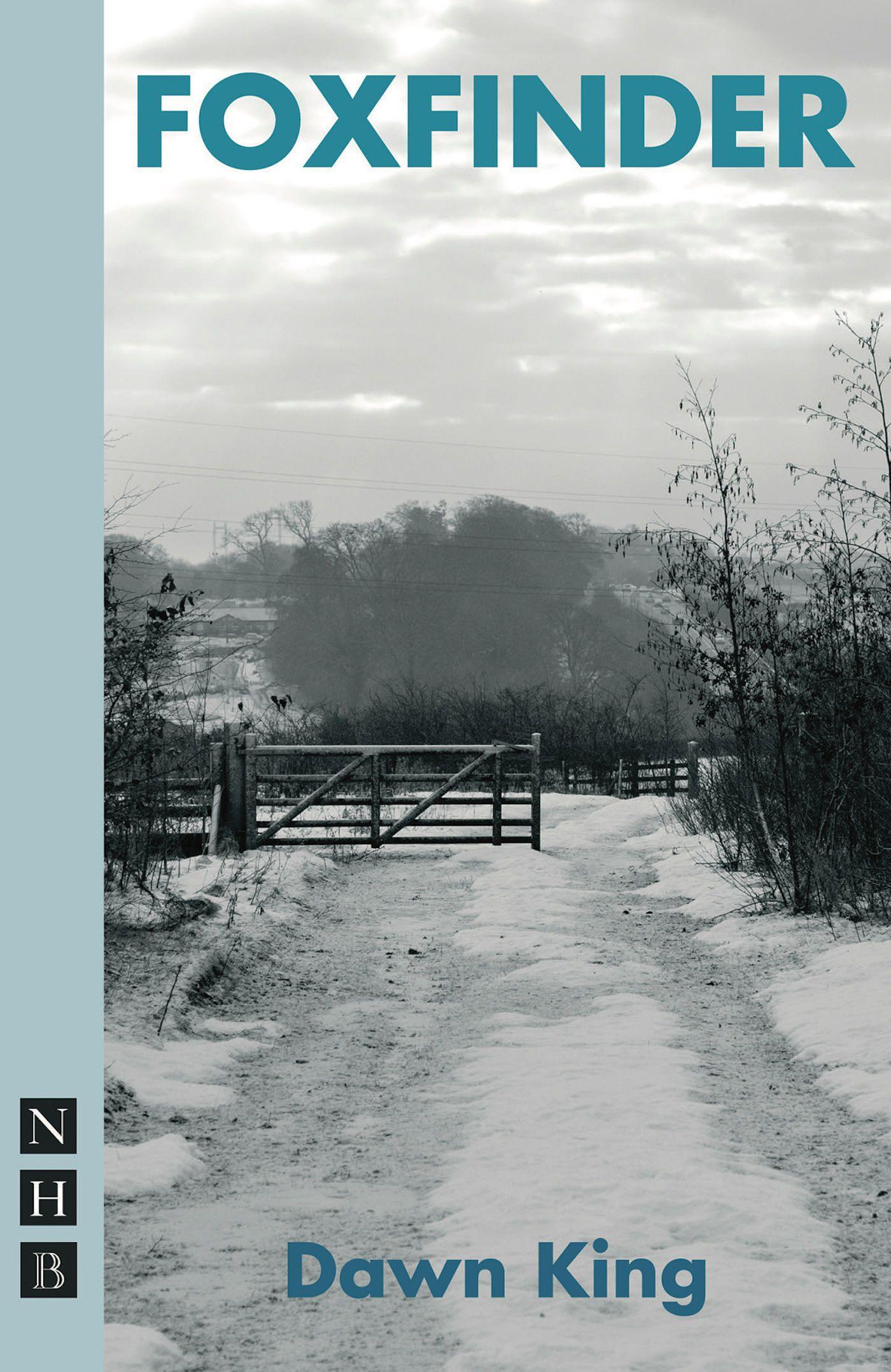 Vorderes Coverbild Foxfinder