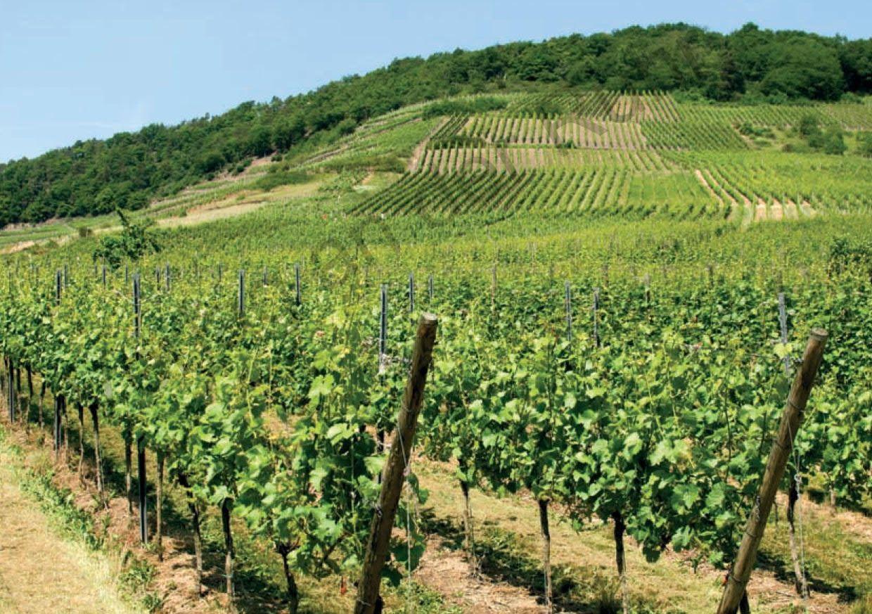 Beispielinhalt (Bild) 80 Bild-Impulse für Religion und Ethik