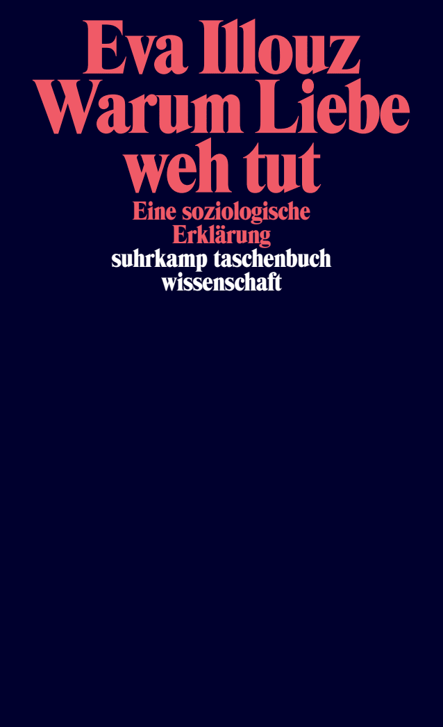 Vorderes Coverbild Warum Liebe weh tut