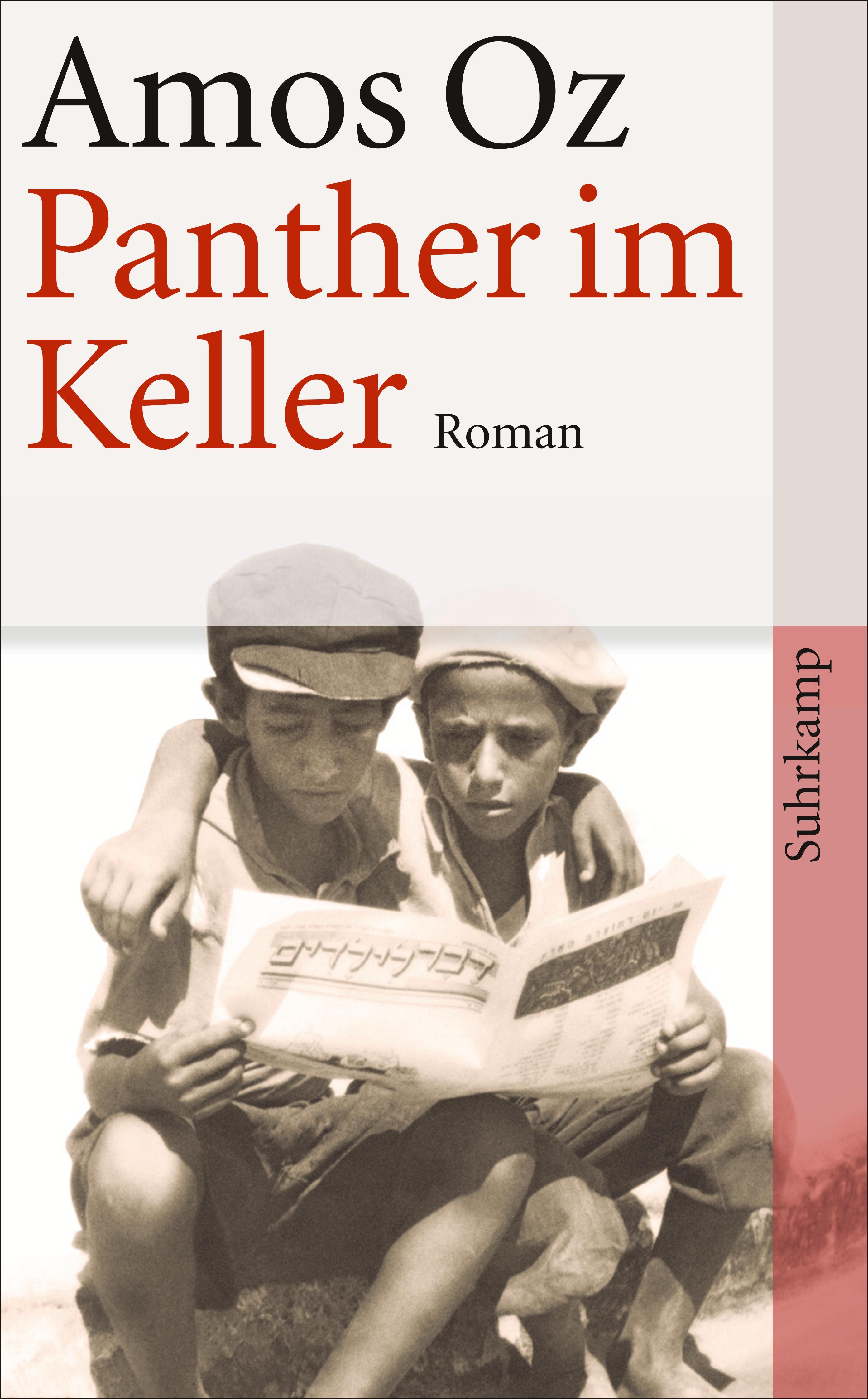 Vorderes Coverbild Panther im Keller
