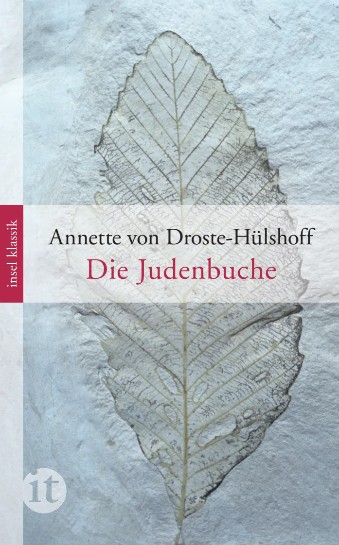 Vorderes Coverbild Die Judenbuche