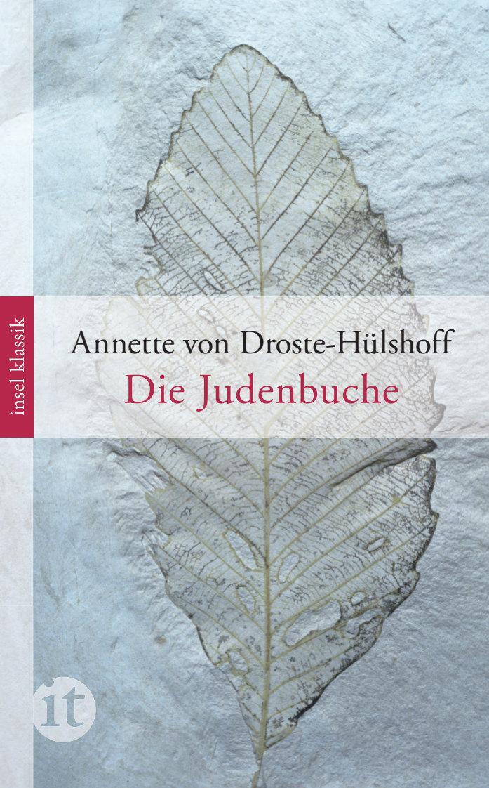 Vorderes Coverbild Die Judenbuche