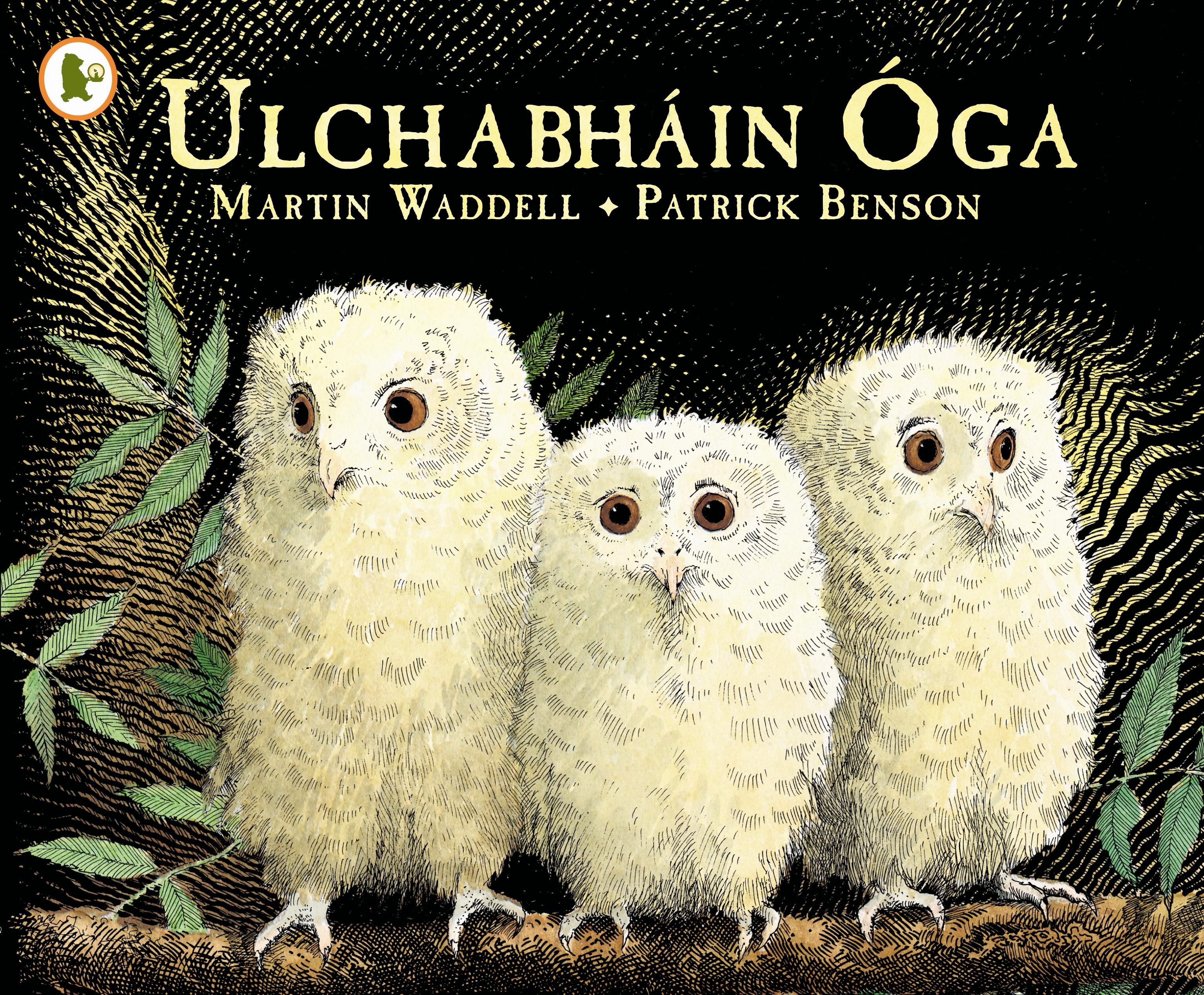 Vorderes Coverbild Ulchabhain Oga (Owl Babies)