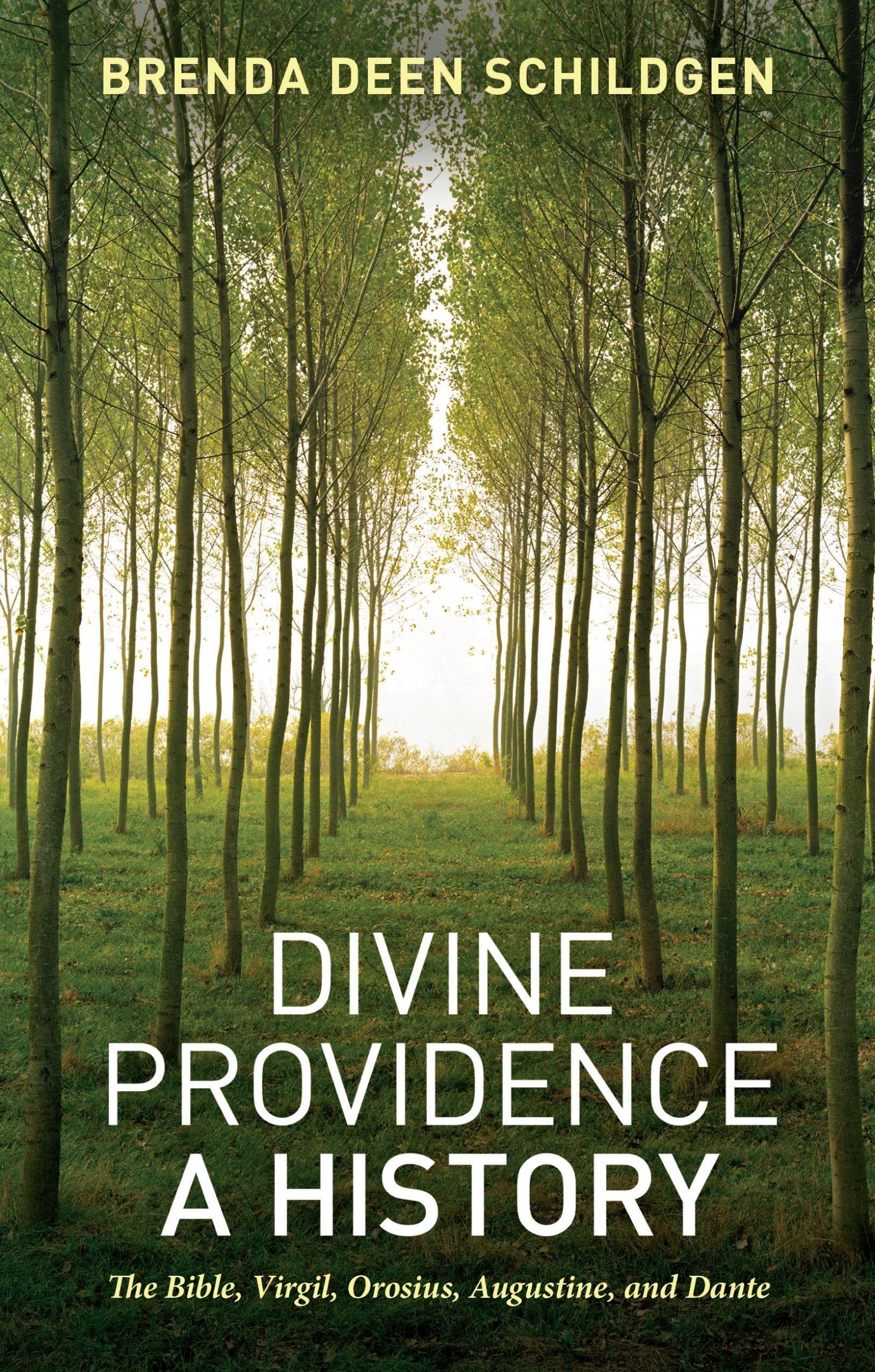 Vorderes Coverbild Divine Providence
