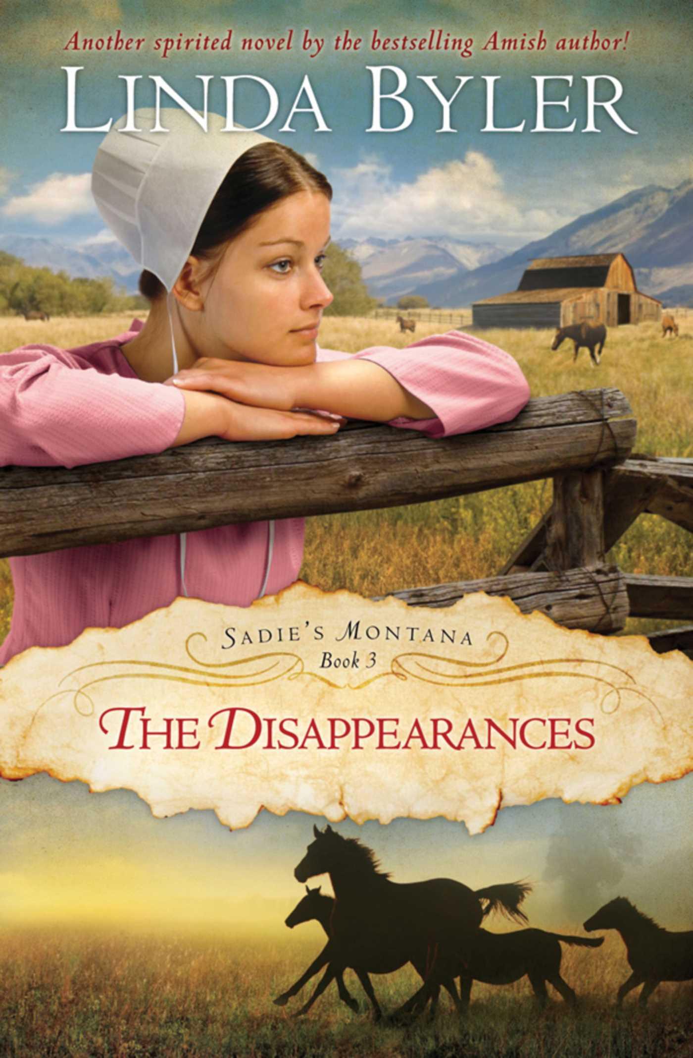 Vorderes Coverbild Disappearances
