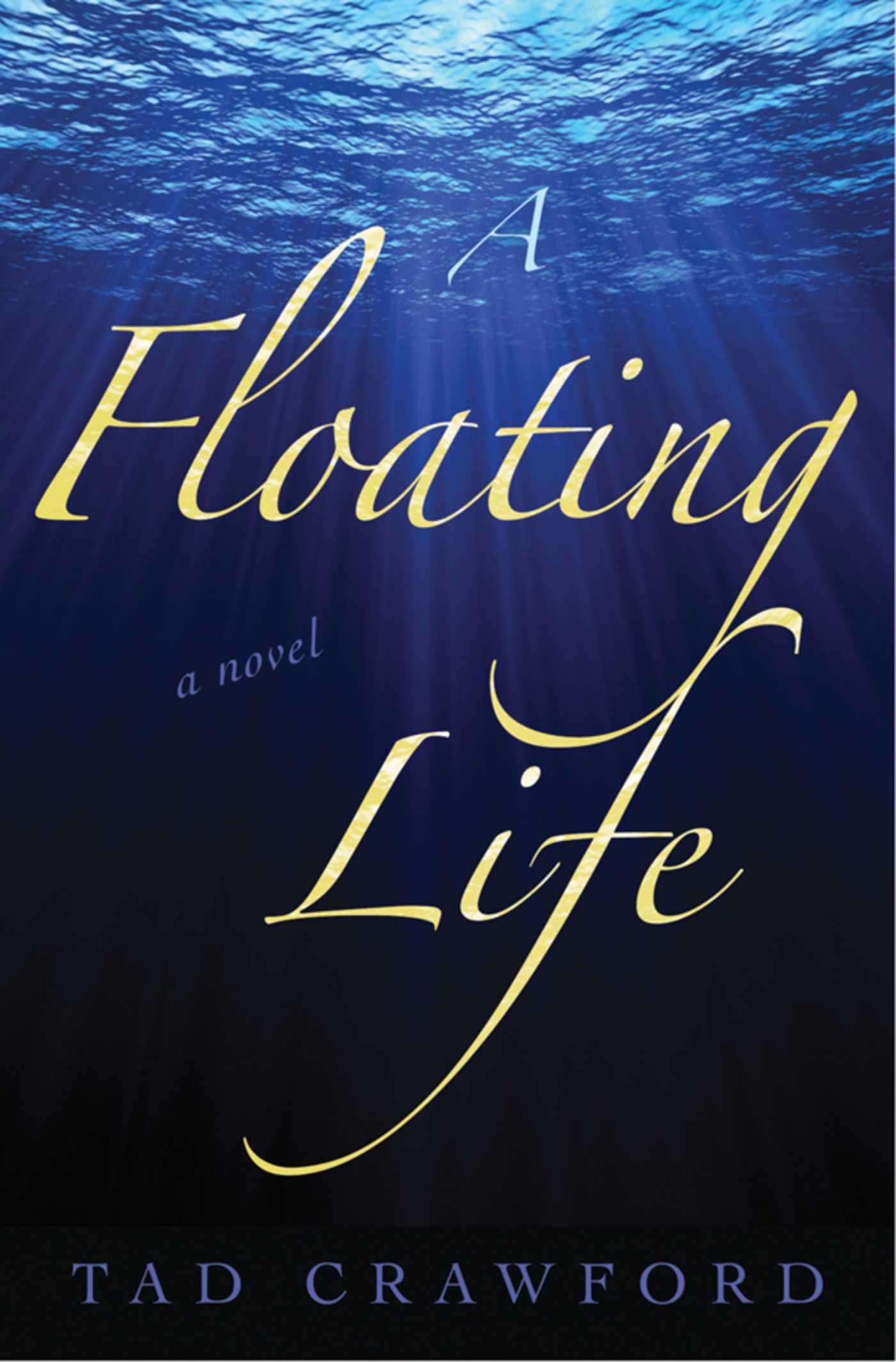Vorderes Coverbild A Floating Life