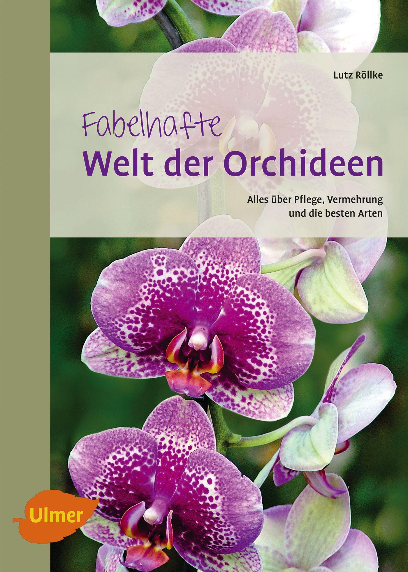 Vorderes Coverbild Fabelhafte Welt der Orchideen