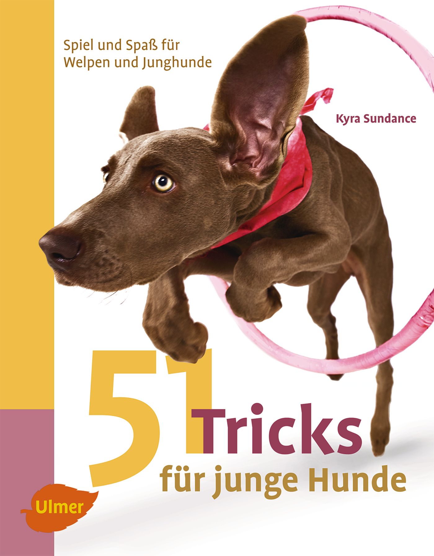 Vorderes Coverbild 51 Tricks für junge Hunde