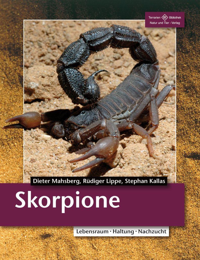 Vorderes Coverbild Skorpione