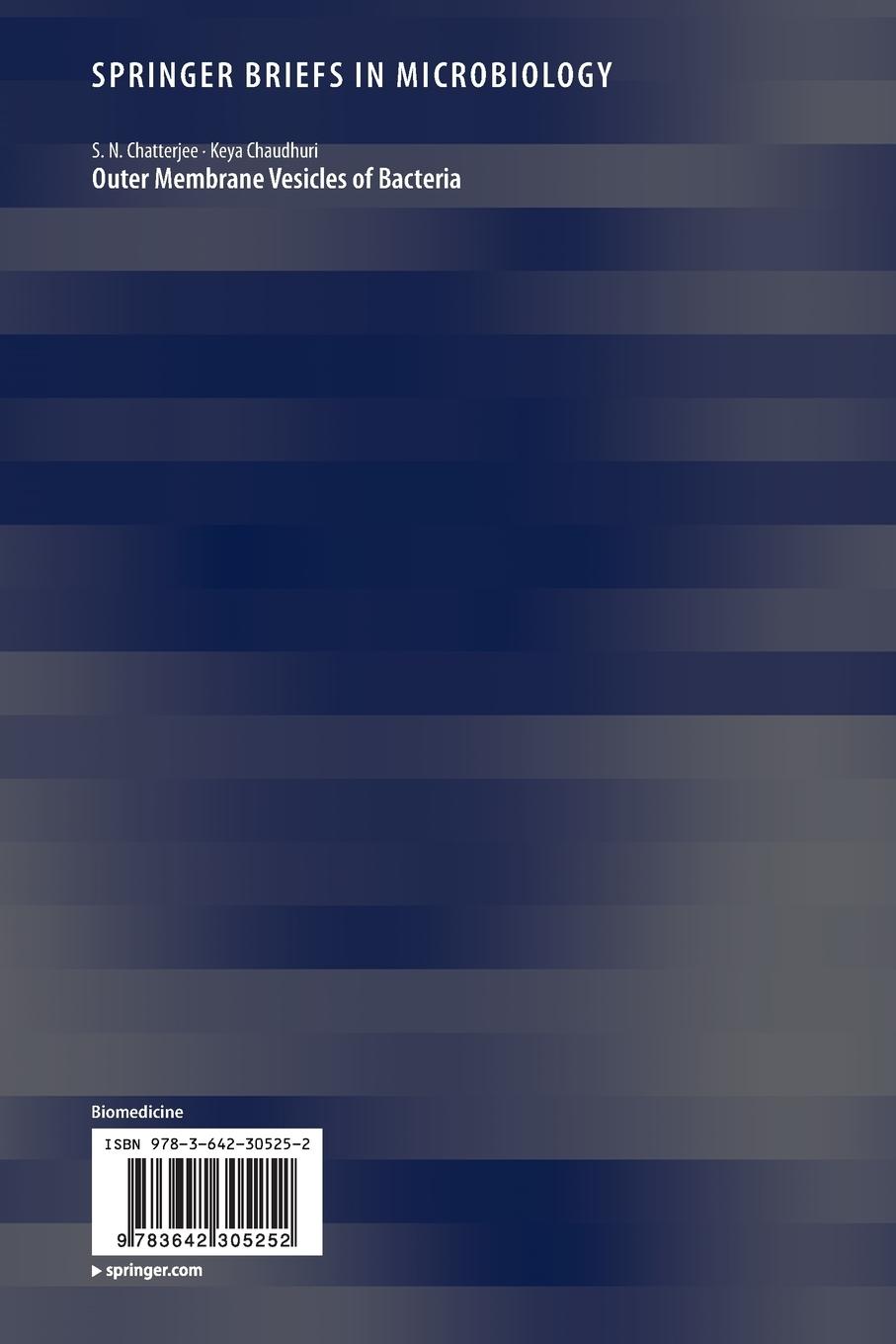 Rückseitencover Outer Membrane Vesicles of Bacteria