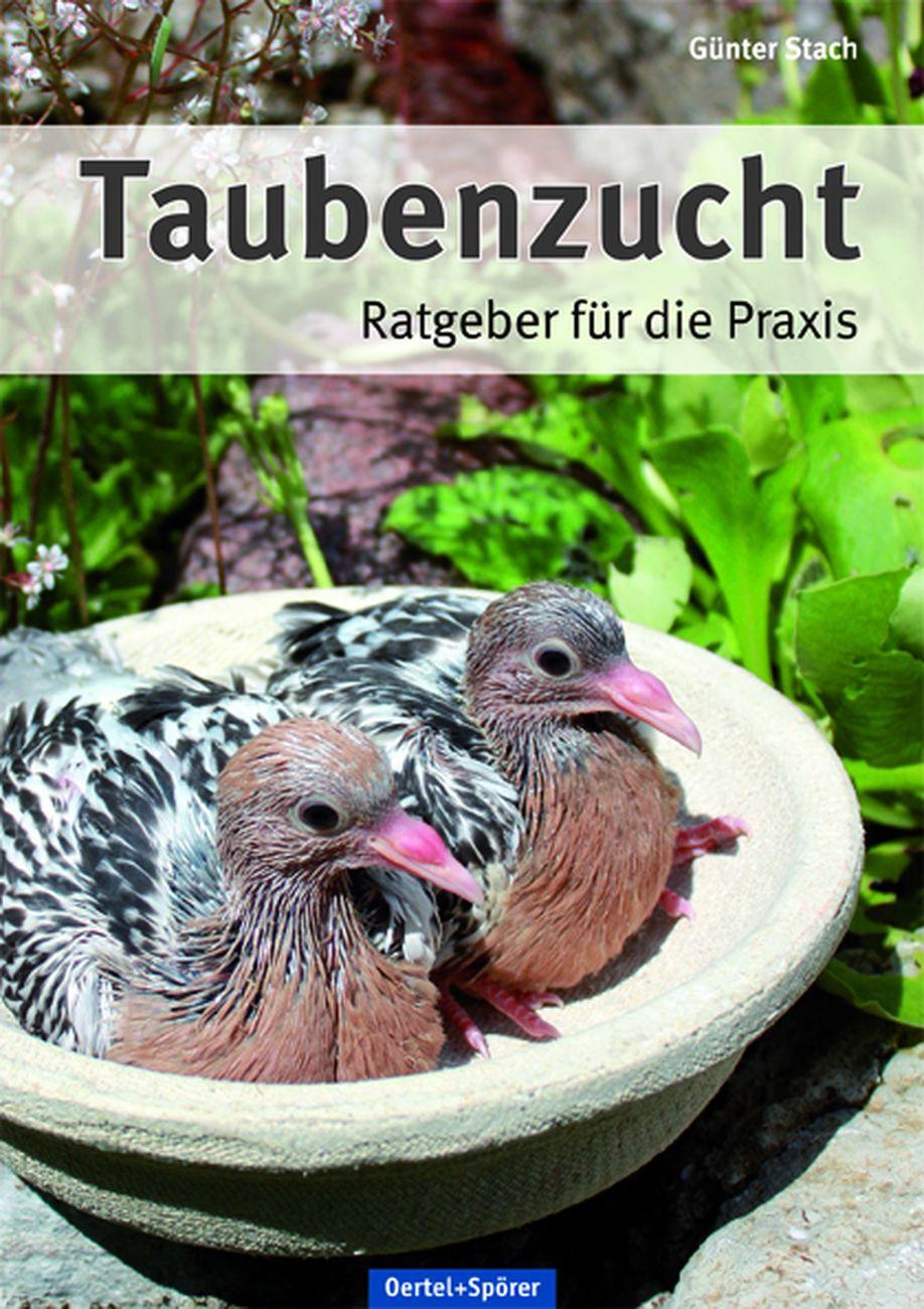 Vorderes Coverbild Taubenzucht