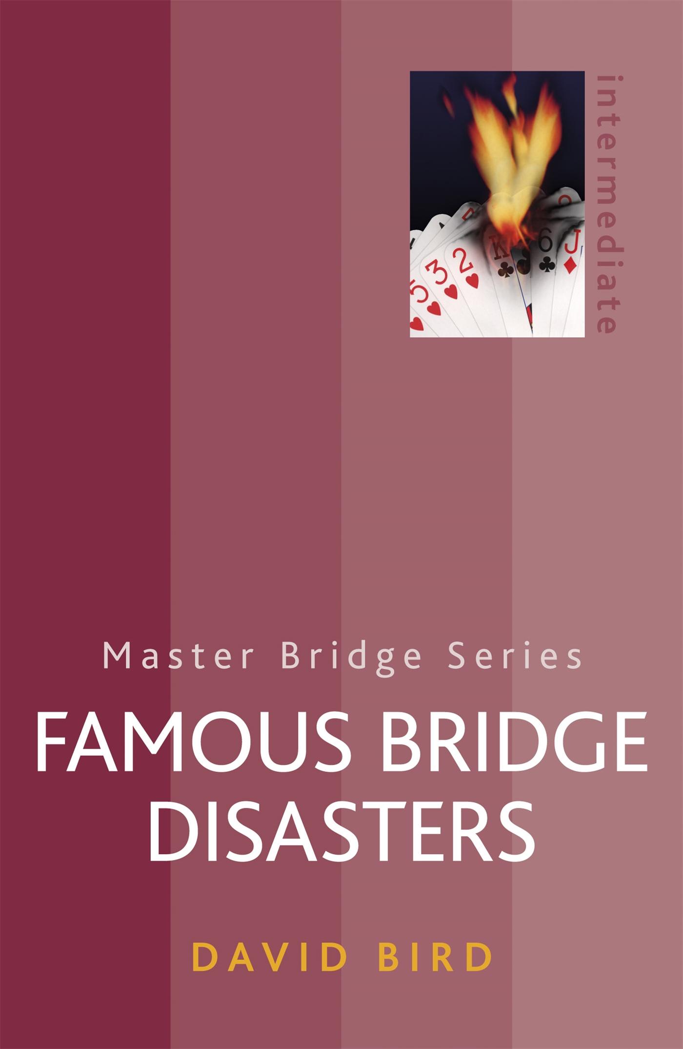 Vorderes Coverbild Famous Bridge Disasters