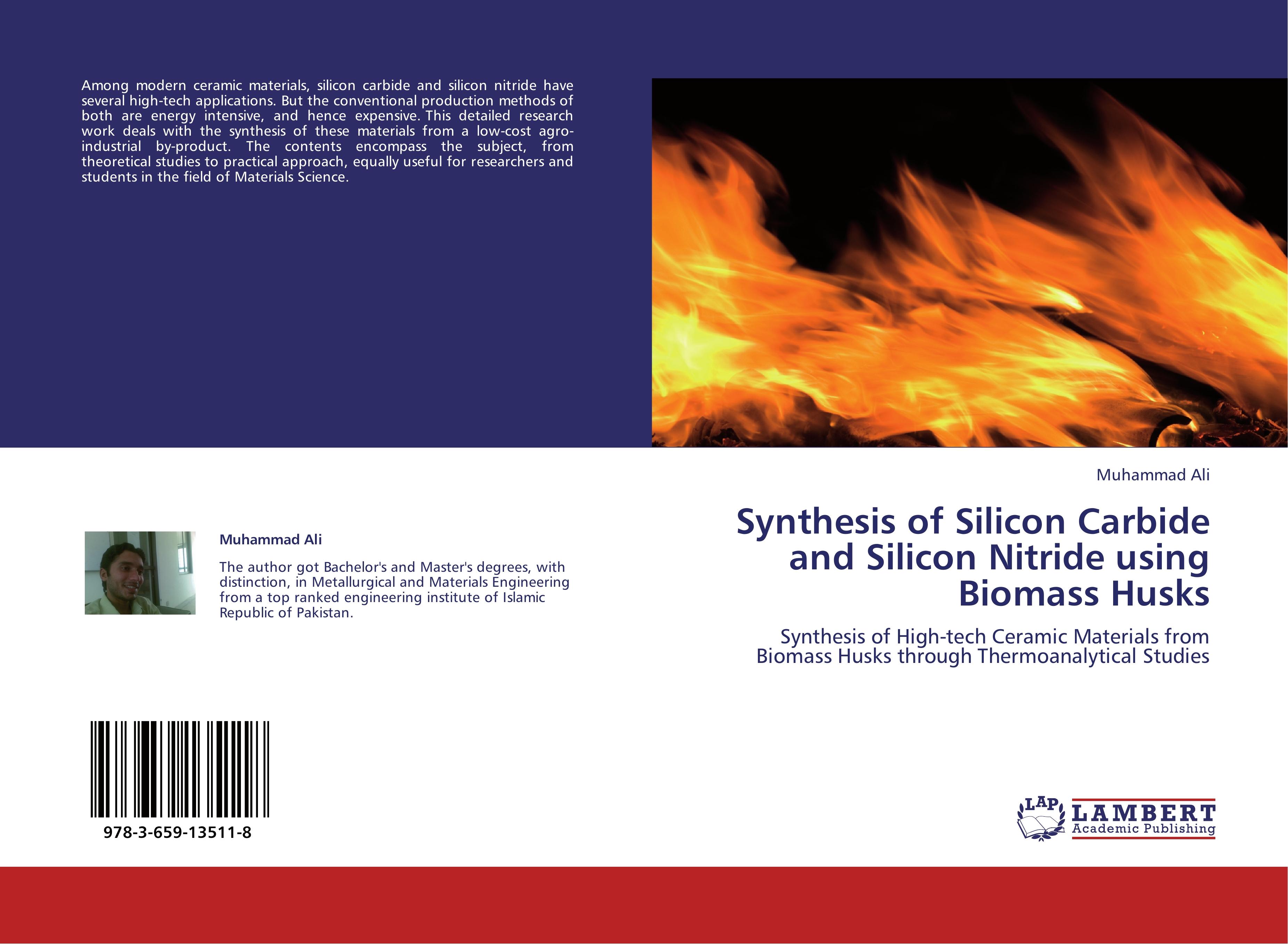 Vorderes Coverbild Synthesis of Silicon Carbide and Silicon Nitride using Biomass Husks