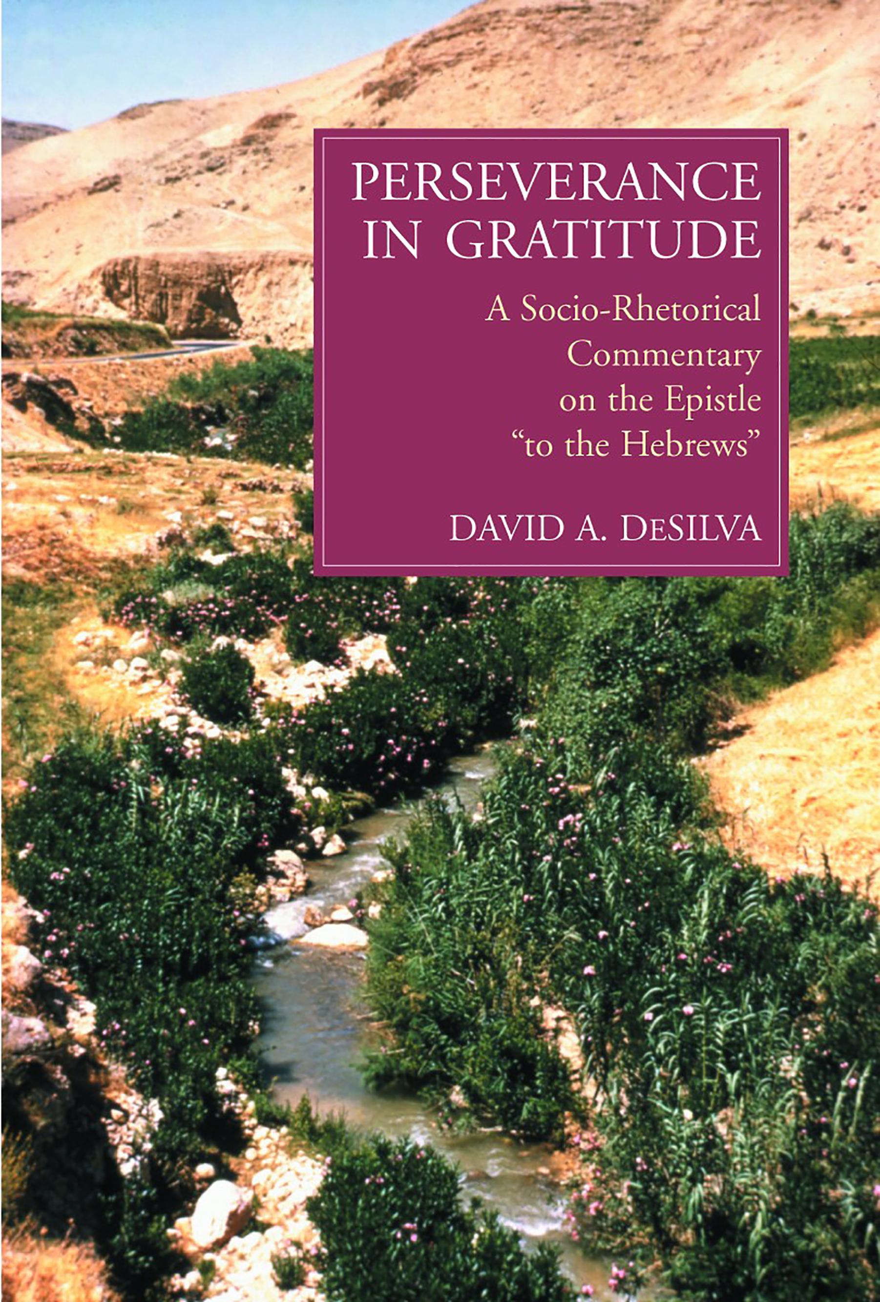 Vorderes Coverbild Perseverance in Gratitude
