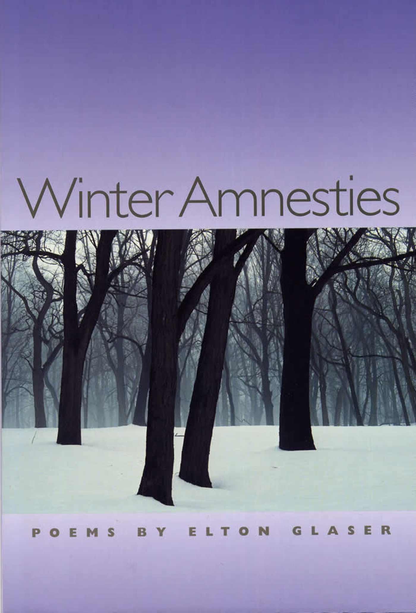 Vorderes Coverbild Winter Amnesties