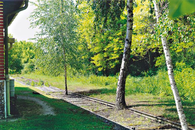 Beispielinhalt (Bild) Wege aus Eisen im Weinviertel