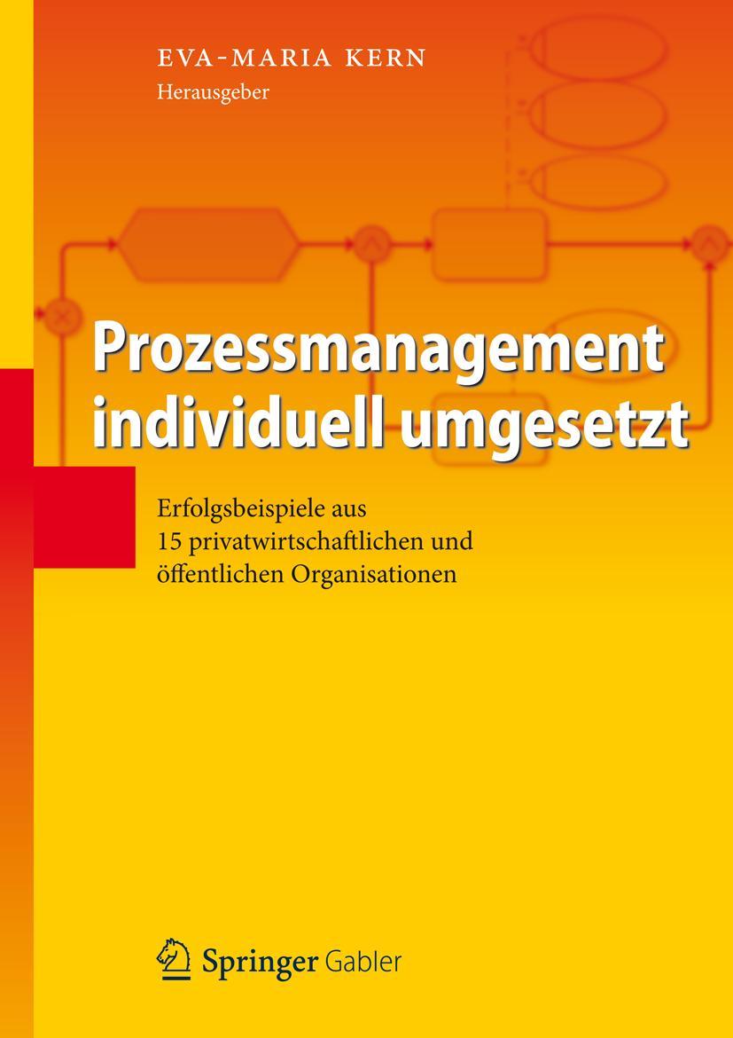 Vorderes Coverbild Prozessmanagement individuell umgesetzt