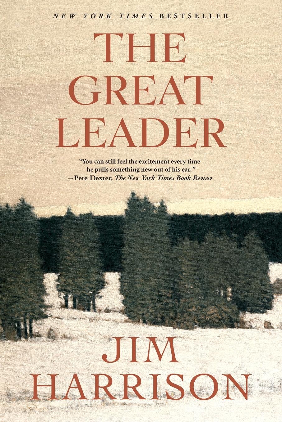 Vorderes Coverbild The Great Leader