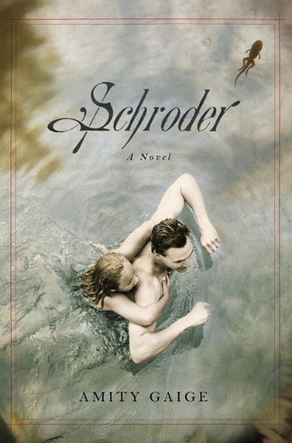 Vorderes Coverbild Schroder