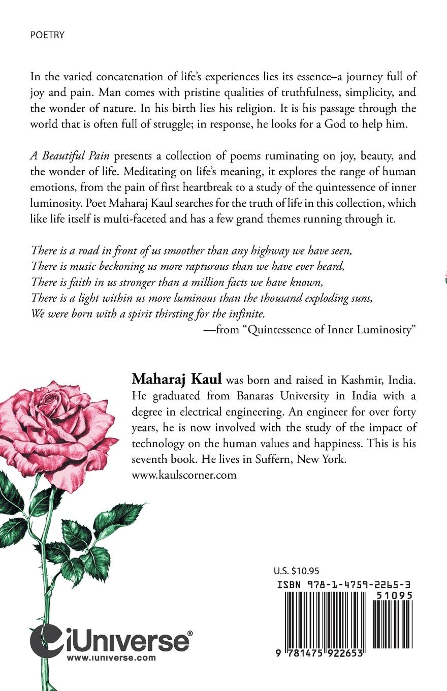 Rückseitencover A Beautiful Pain