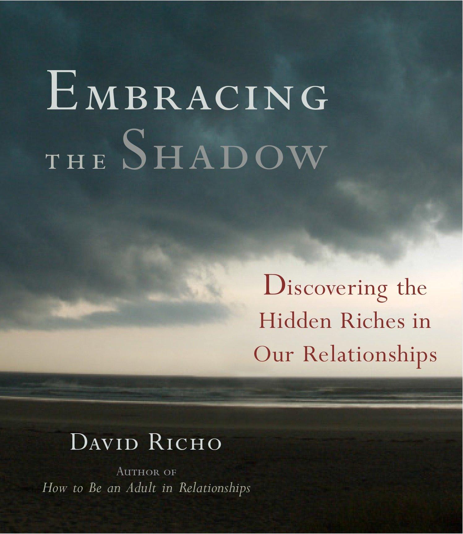 Vorderes Coverbild Embracing the Shadow: Discovering the Hidden Riches in Our Relationships