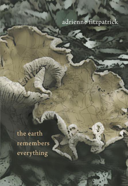 Vorderes Coverbild The Earth Remembers Everything