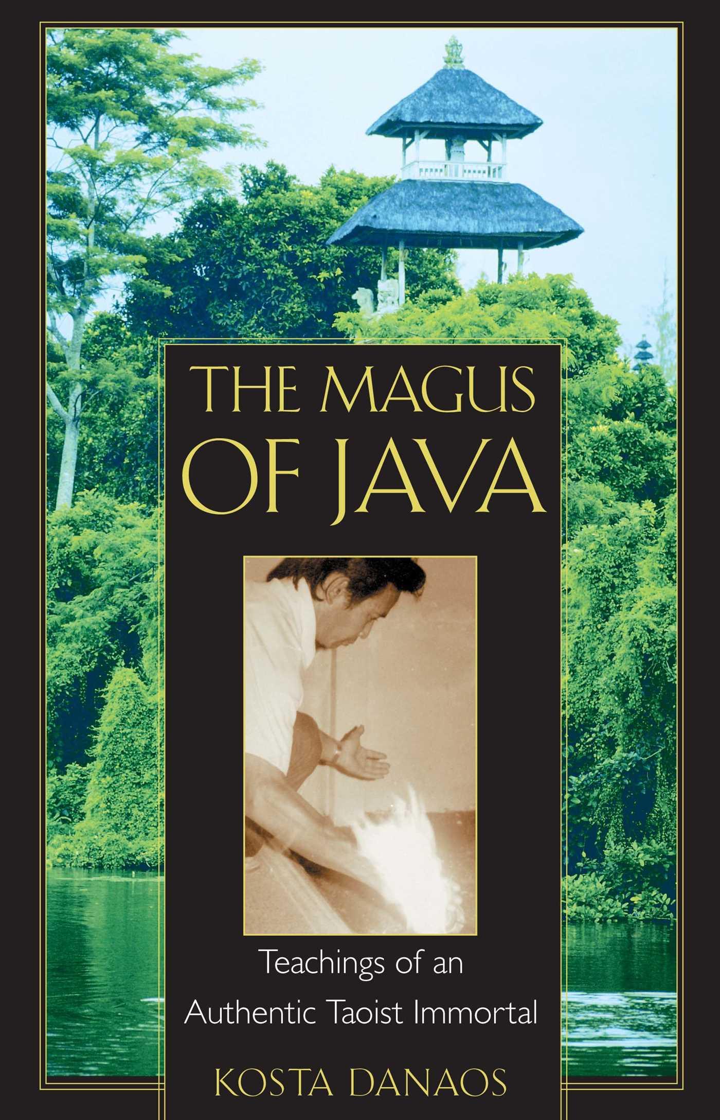 Vorderes Coverbild The Magus of Java