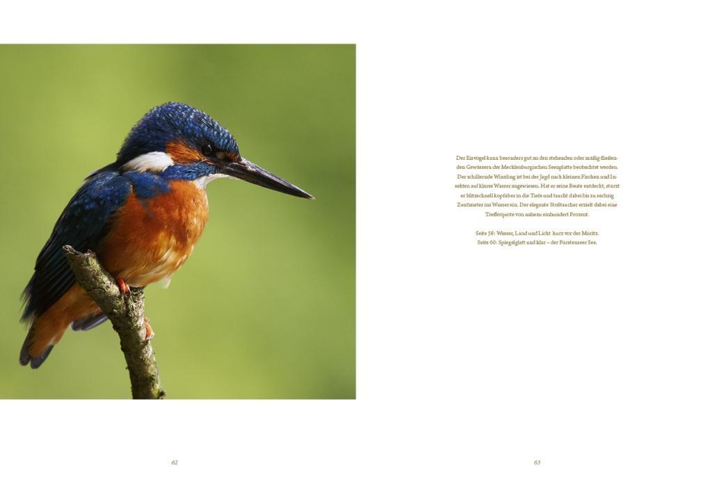 Beispielinhalt (Bild) Die Mecklenburgische Seenplatte