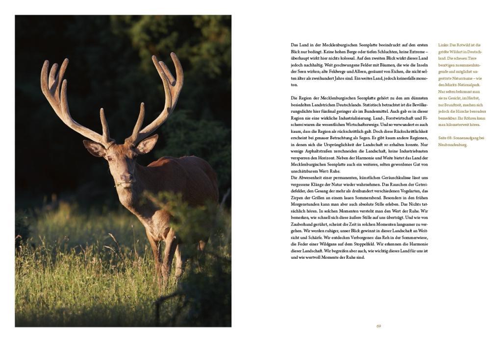 Beispielinhalt (Bild) Die Mecklenburgische Seenplatte
