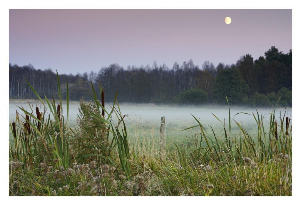 Beispielinhalt (Bild) Die Mecklenburgische Seenplatte