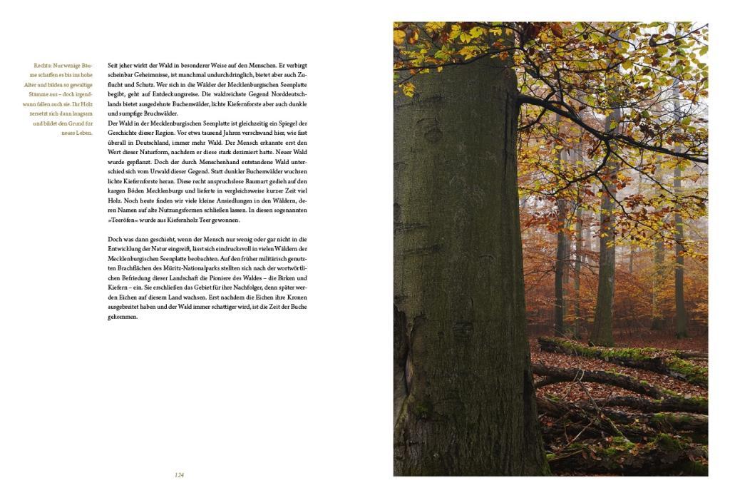 Beispielinhalt (Bild) Die Mecklenburgische Seenplatte