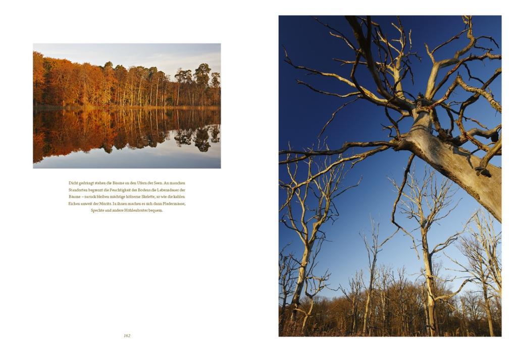 Beispielinhalt (Bild) Die Mecklenburgische Seenplatte