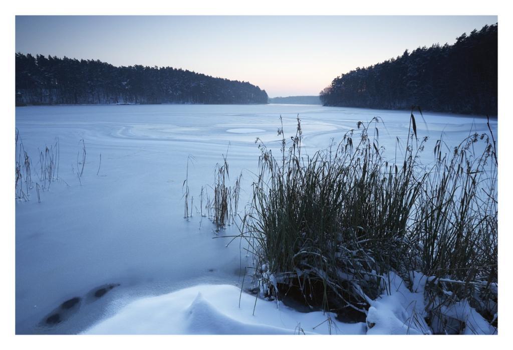 Beispielinhalt (Bild) Die Mecklenburgische Seenplatte