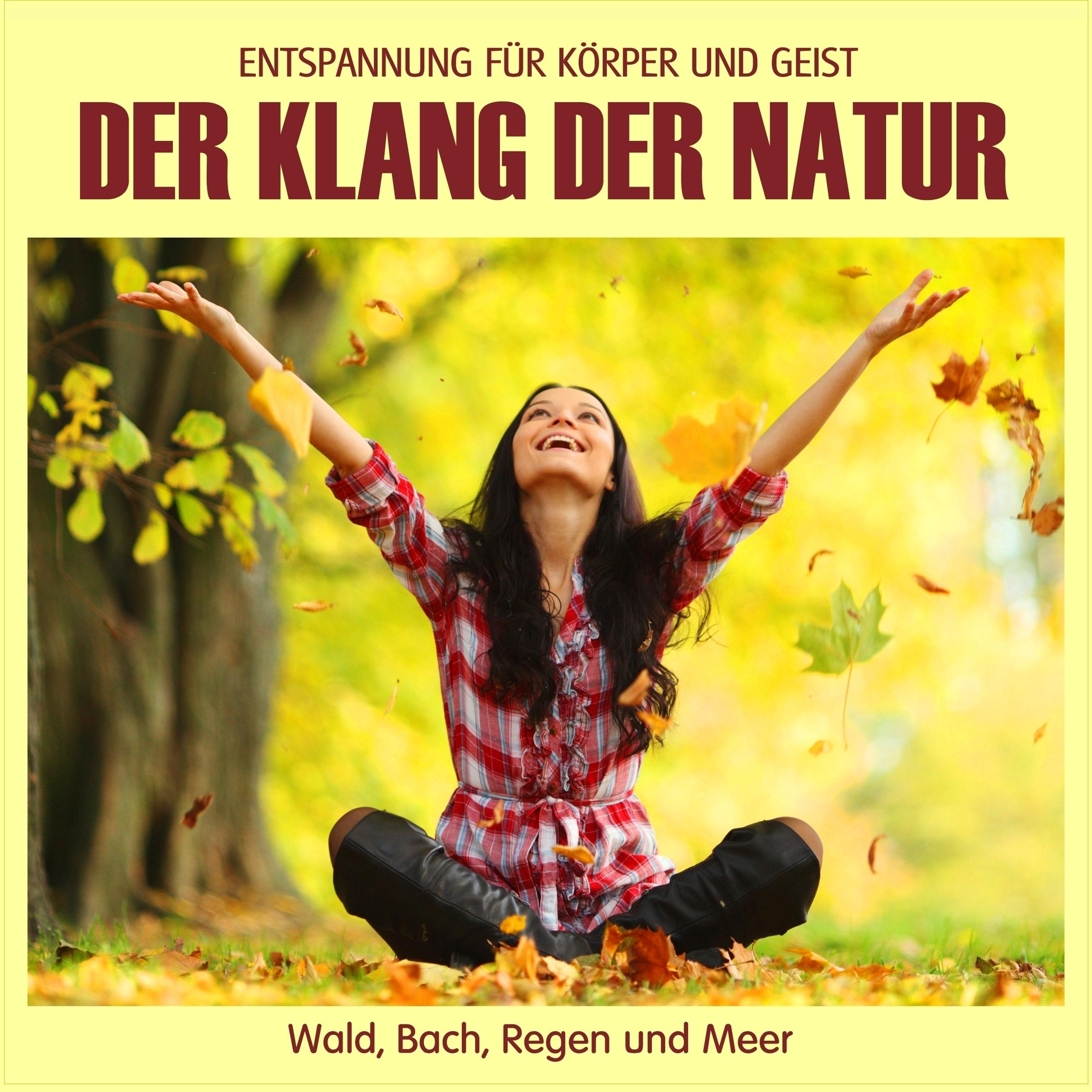 Vorderes Coverbild Der Klang der Natur - Wald, Bach, Regen und Meer (ohne Musik)