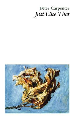 Vorderes Coverbild Just Like That