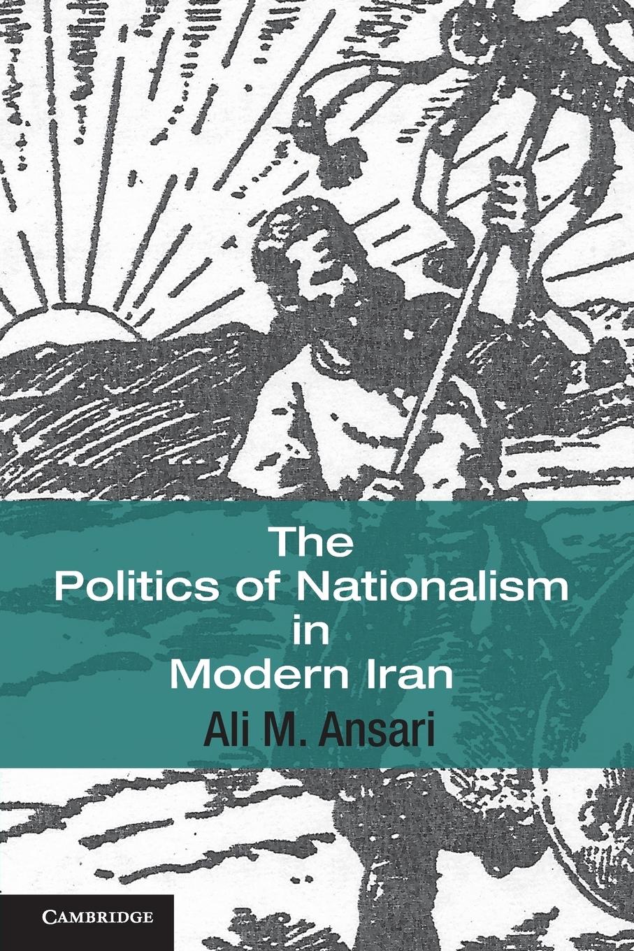 Vorderes Coverbild The Politics of Nationalism in Modern Iran