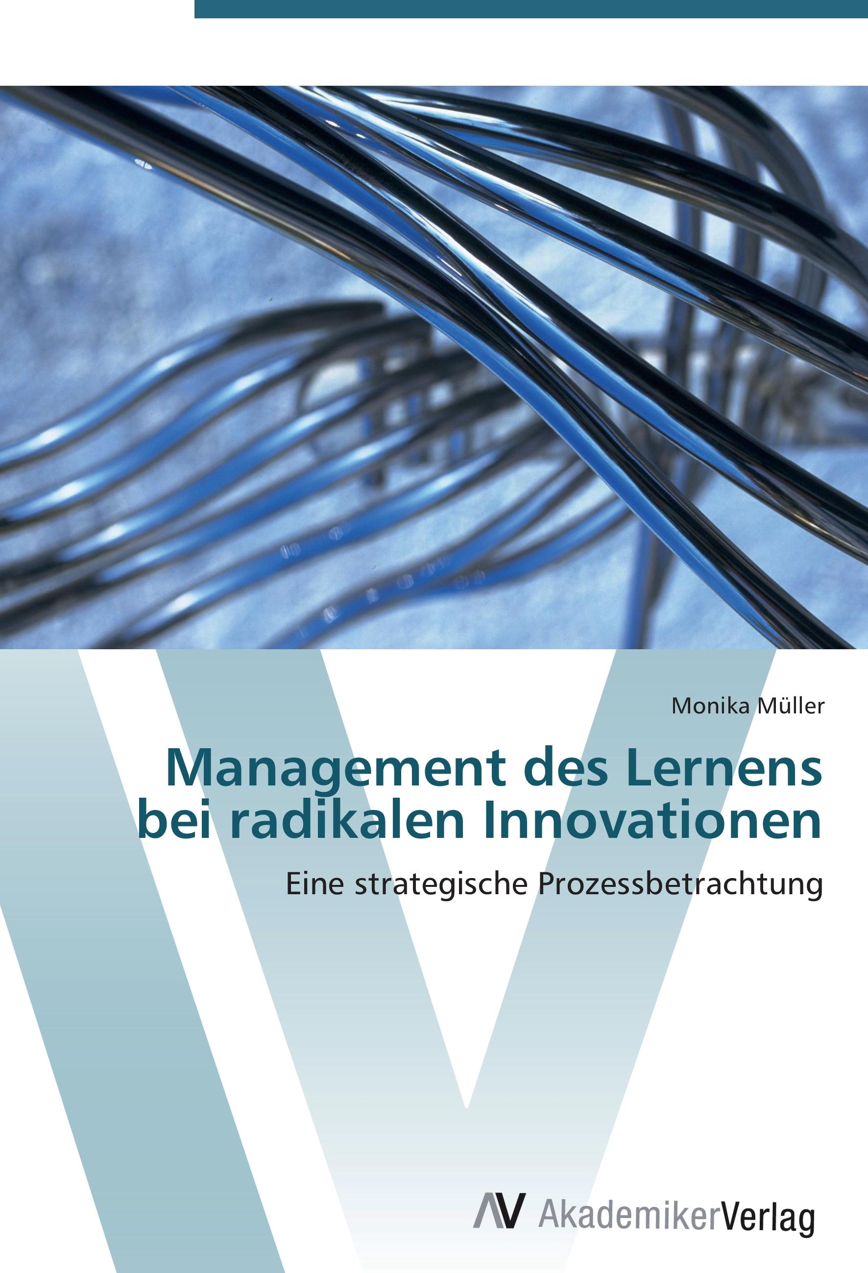 Vorderes Coverbild Management des Lernens bei radikalen Innovationen