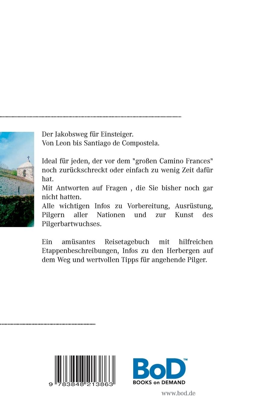 Rückseitencover Ohne Schmerz - Kein Halleluja