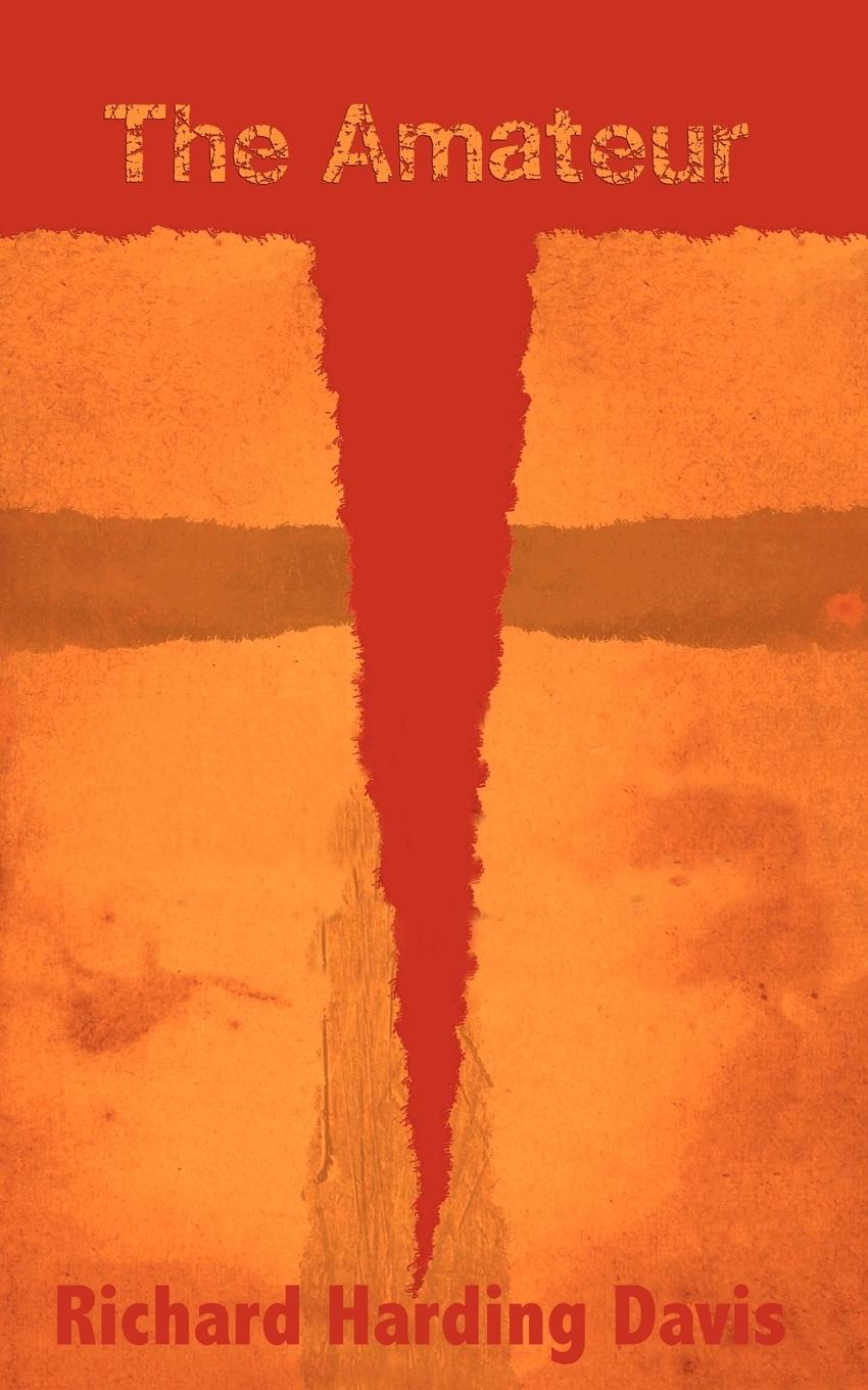 Vorderes Coverbild The Amateur