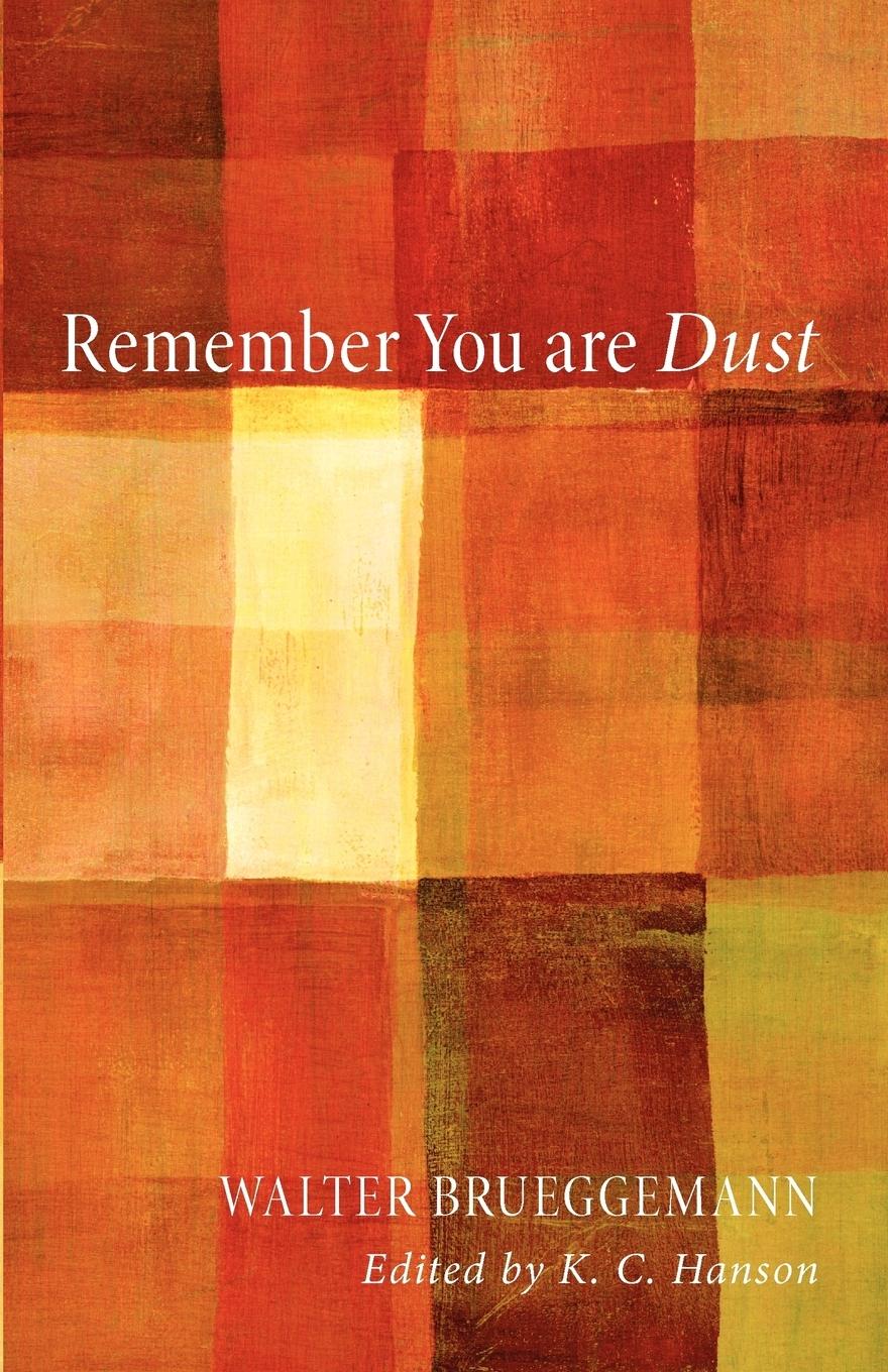 Vorderes Coverbild Remember You Are Dust