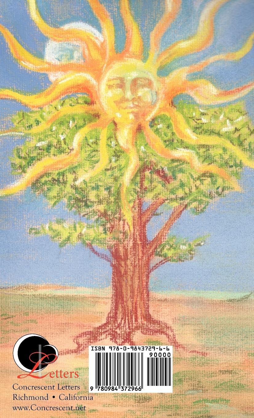 Rückseitencover Blessing of the Sun