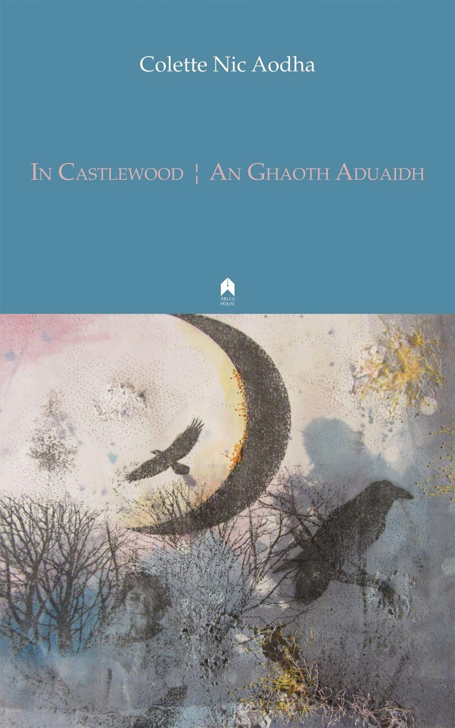 Vorderes Coverbild In Castlewood / An Ghaoth Aduaidh