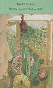 Vorderes Coverbild Hidden Places / Scáthán Eile