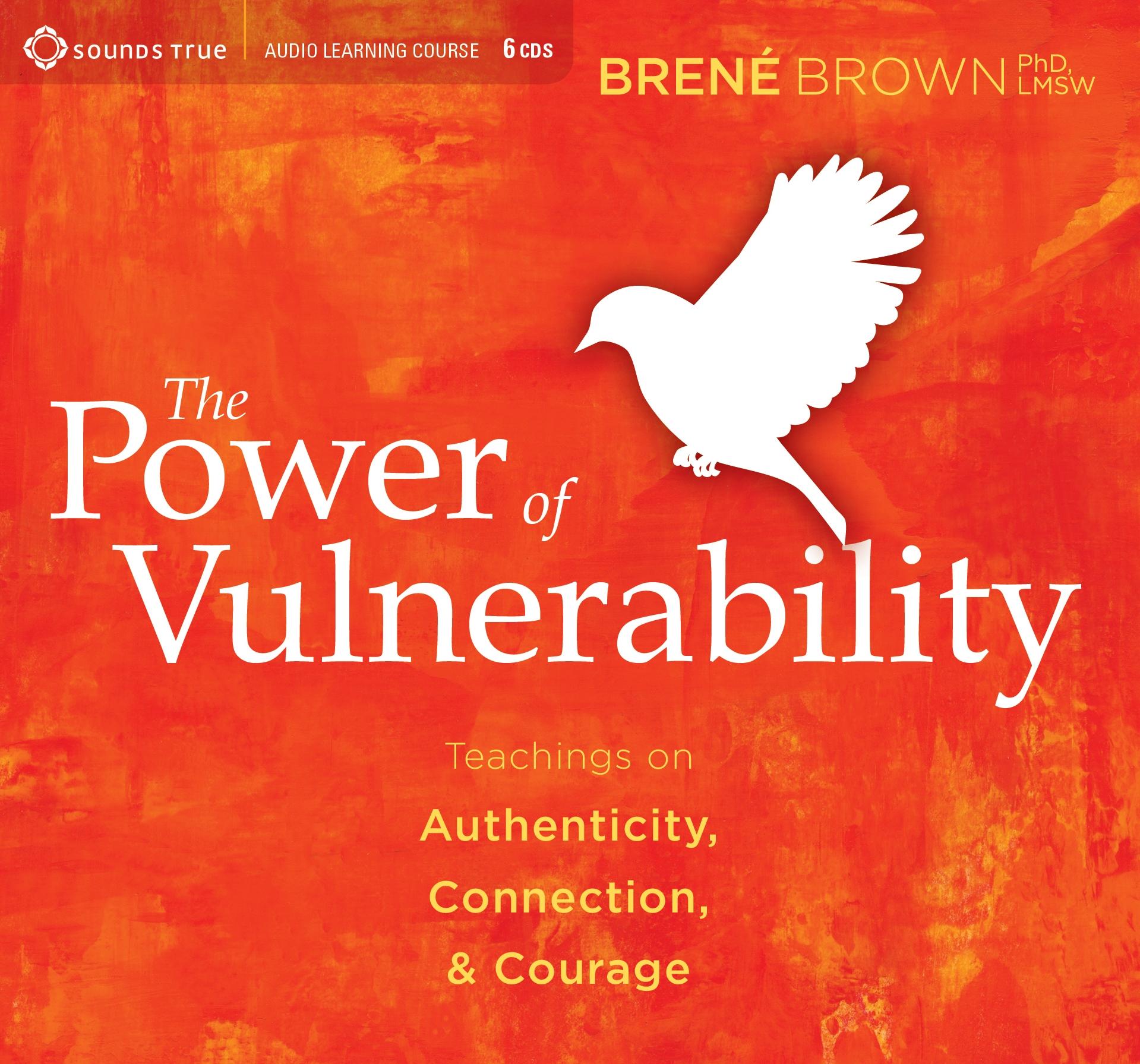 Vorderes Coverbild The Power of Vulnerability